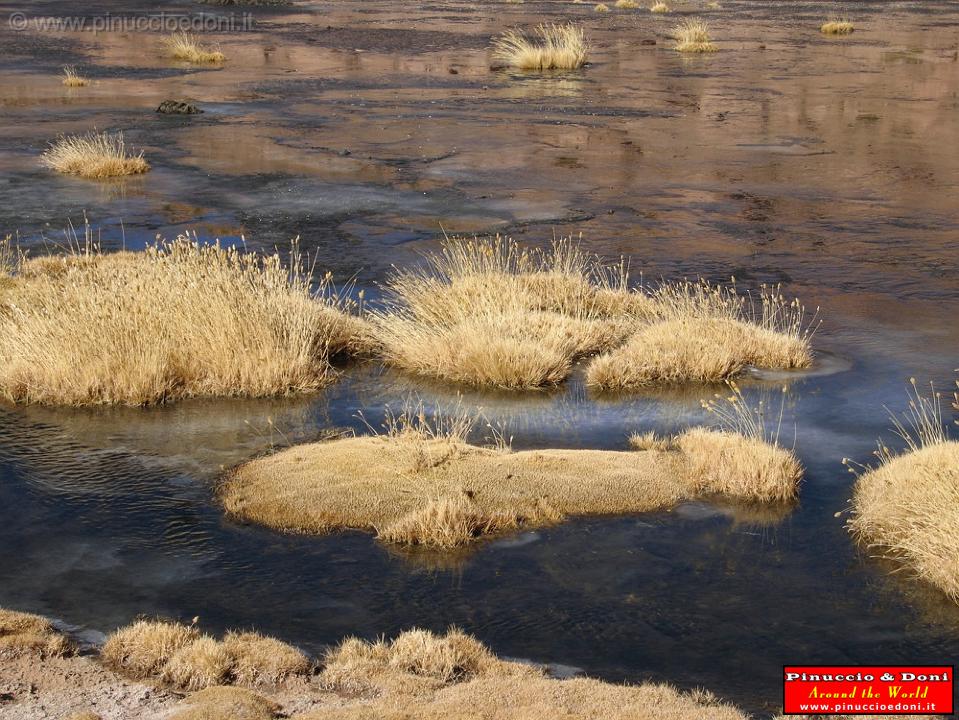 CILE - Verso il Pueblo de Machuca - 05.jpg